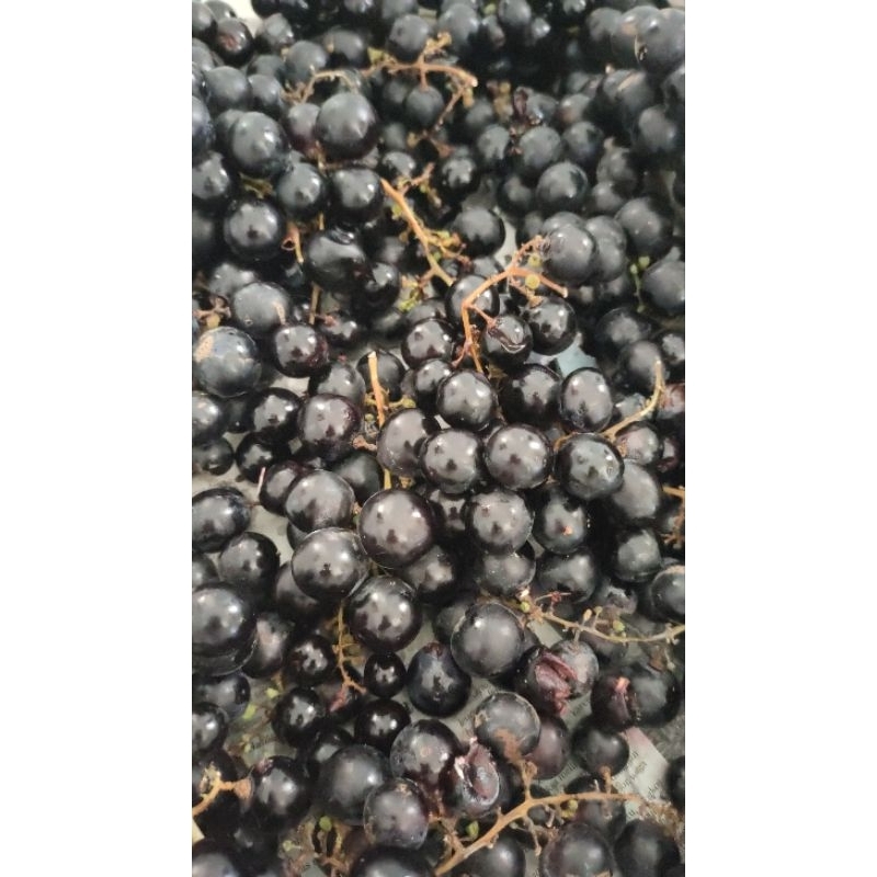 Anggur Bali fresh 1kg