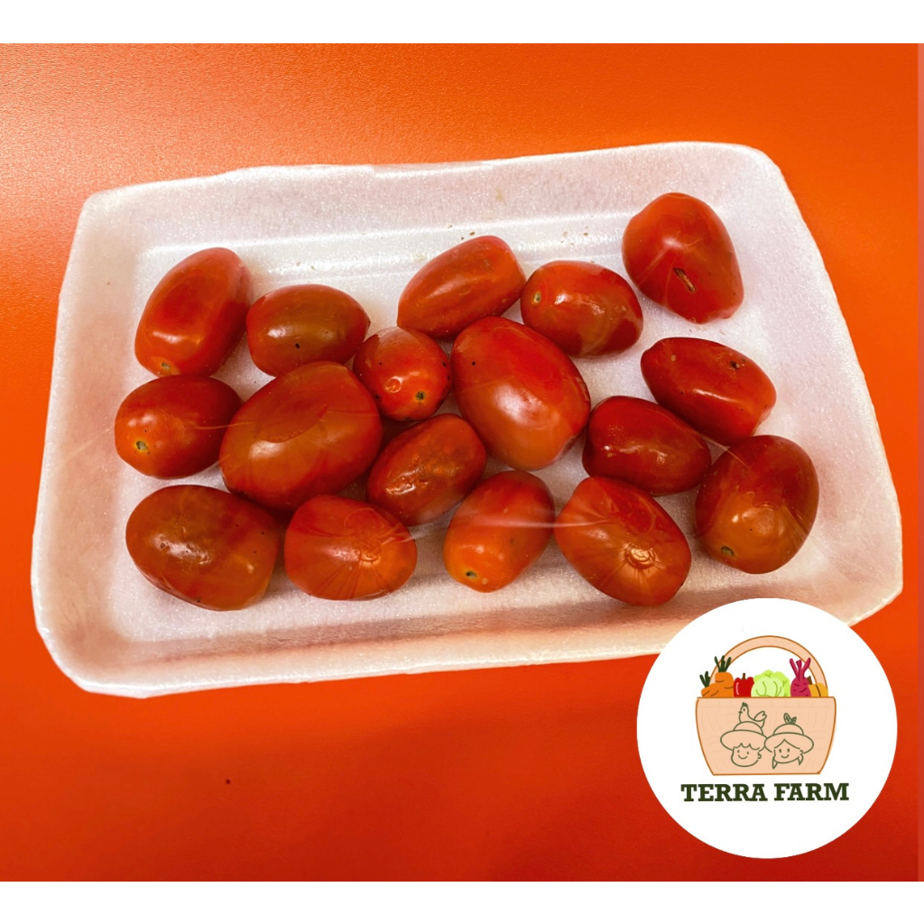 

SAYUR SEGAR TOMAT CERI WRAPPING PACK - 150 GR