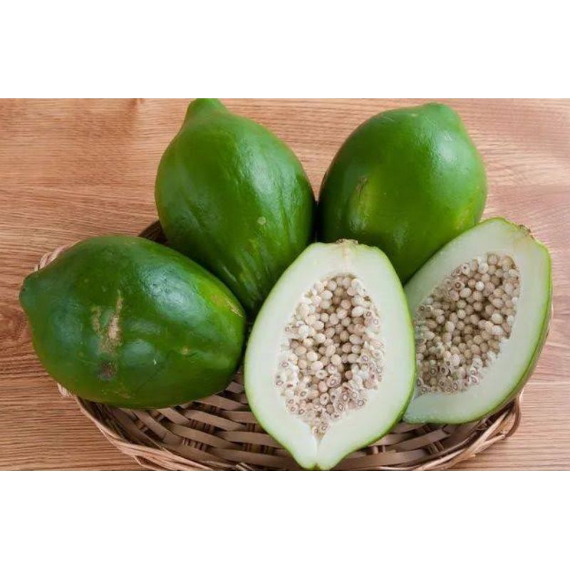 

1 Buah Pepaya Muda