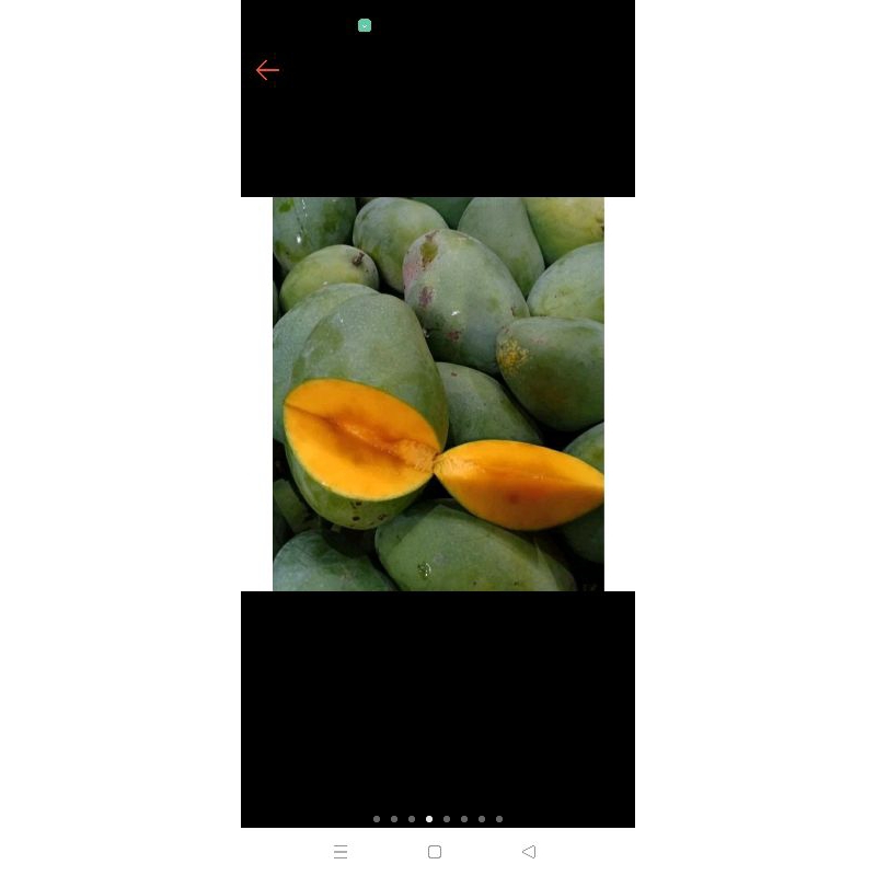 

Mangga alpukat 1 kg jamin manis
