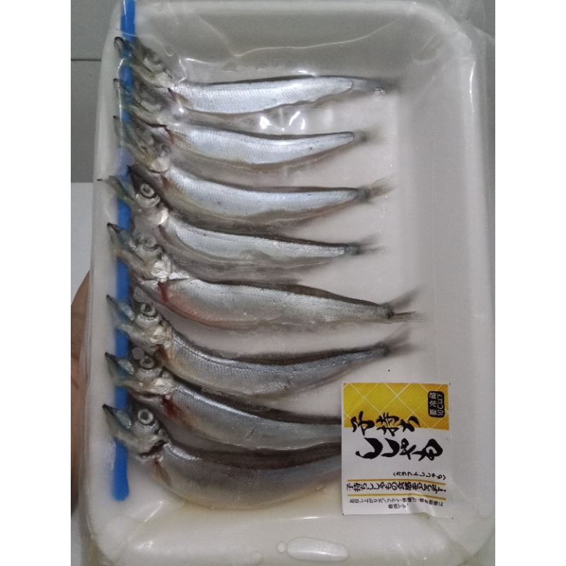 

Ikan Shisamo Telur Premium