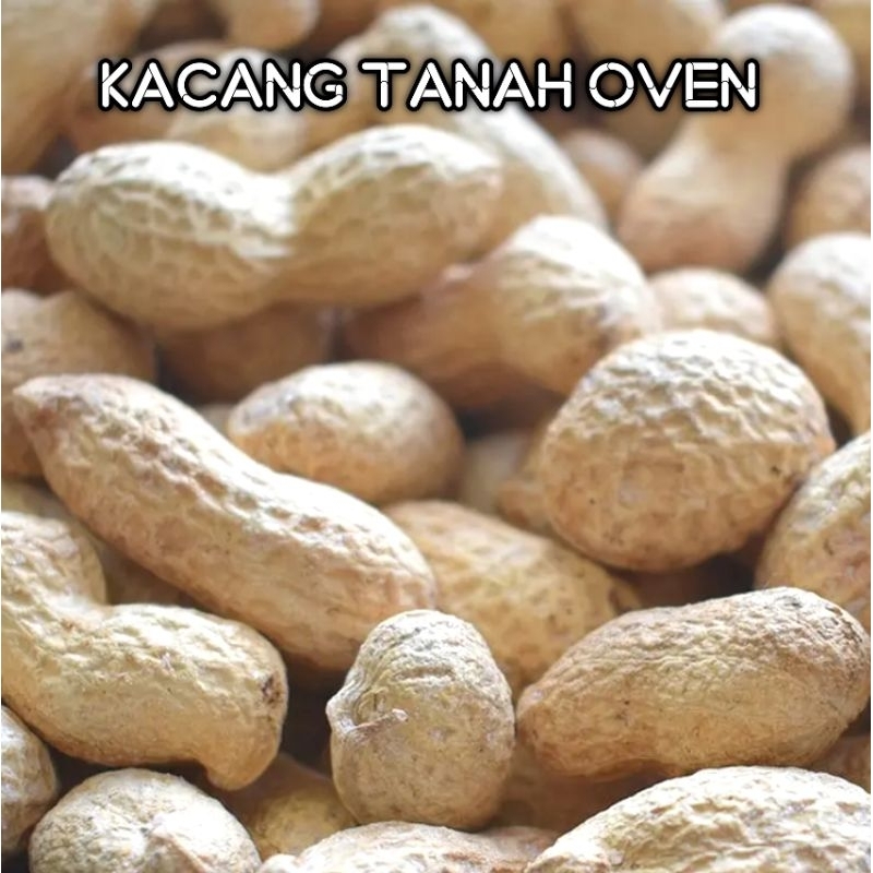 

Kacang kulit kacang tanah oven bergizi 250gr