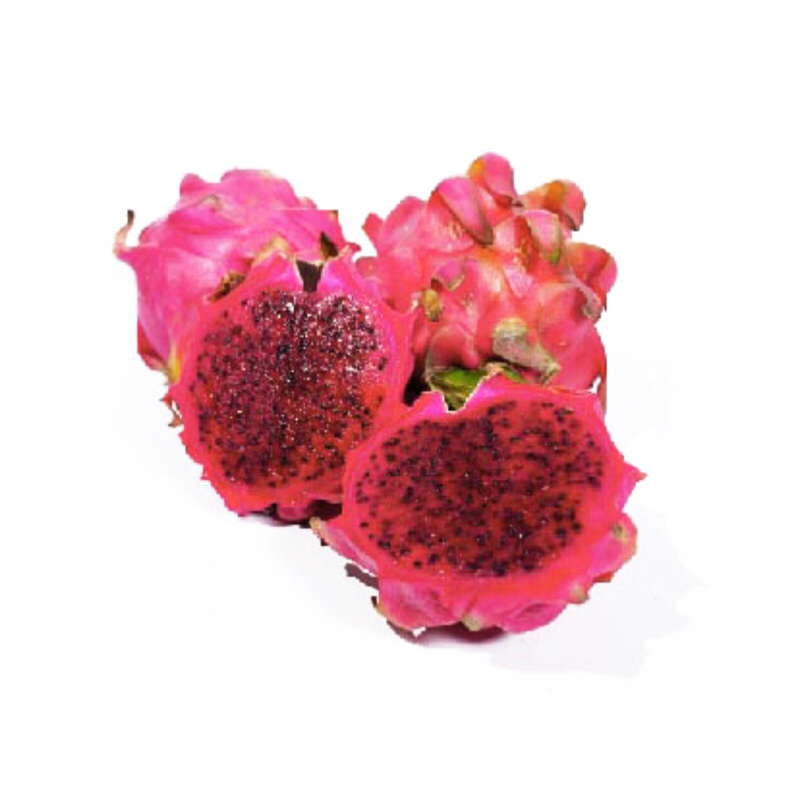 

GM Buah Naga 900-1000gr