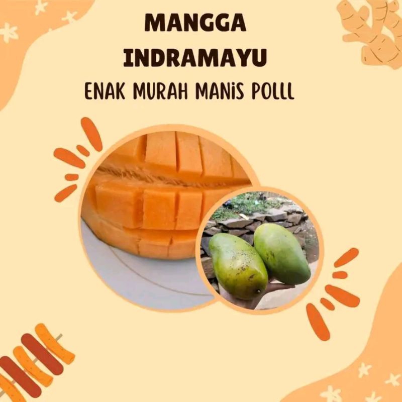 

mangga indramayu
