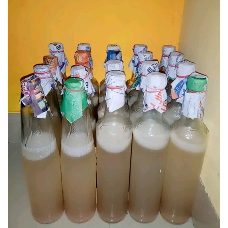 

Bibit / Starter Nata De Coco 500 grm