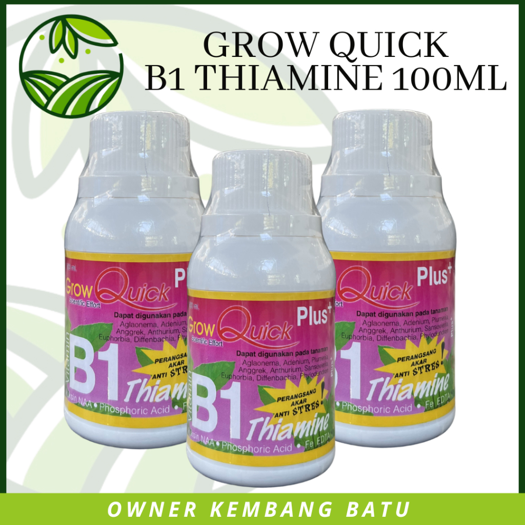 Pupuk Grow Quick B-1 Theamine 100ml Vitamin Anggrek Tanaman