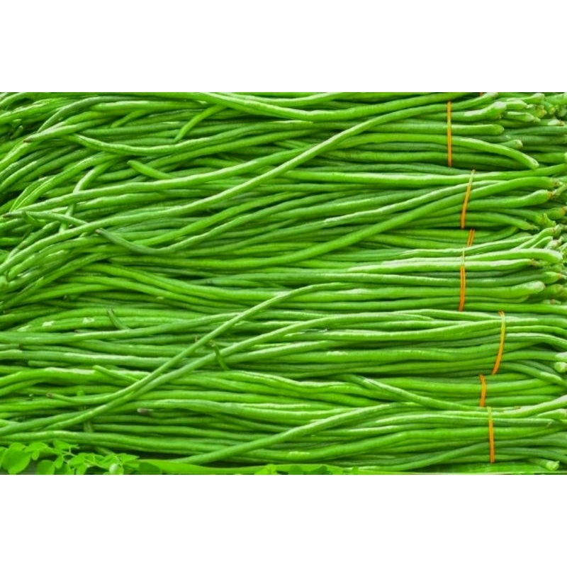 

Kacang panjang/pcs