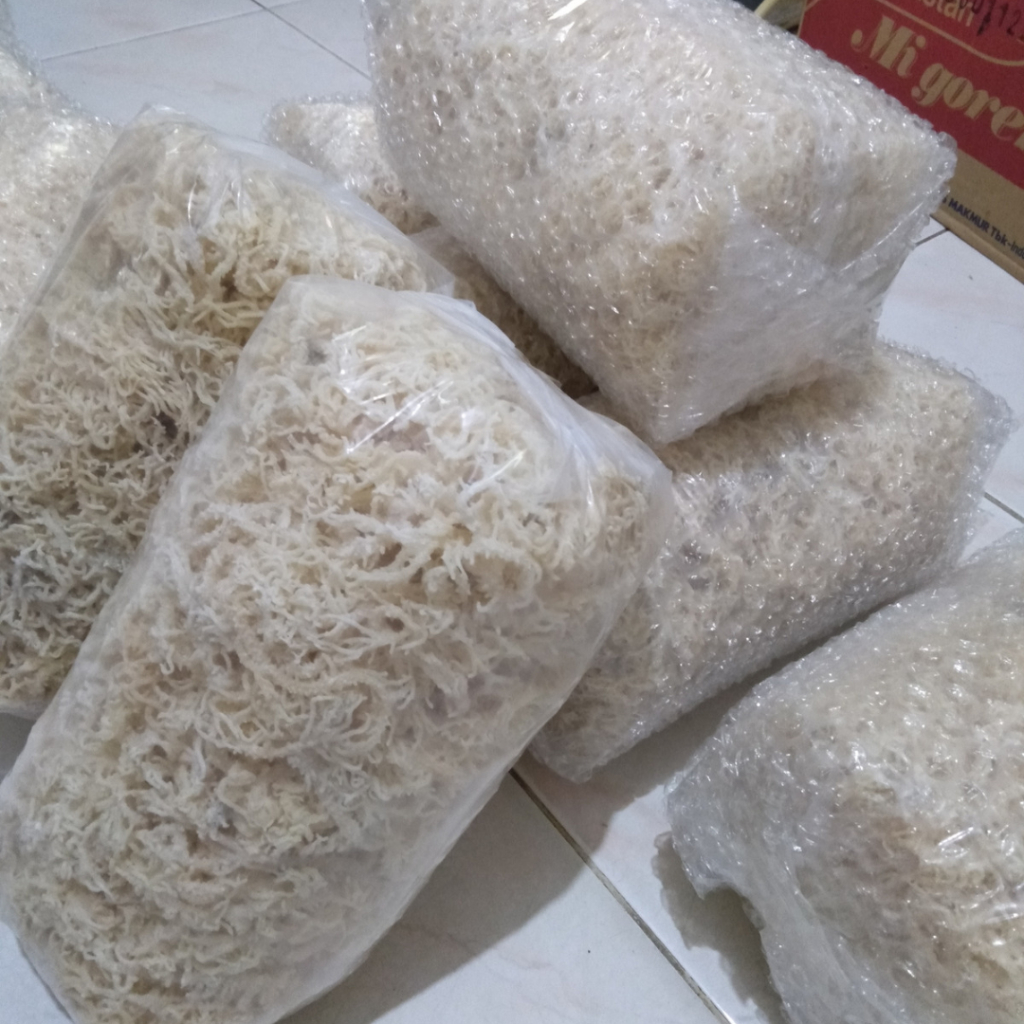 

2Kg Rumput Laut Kering Untuk Es Campur