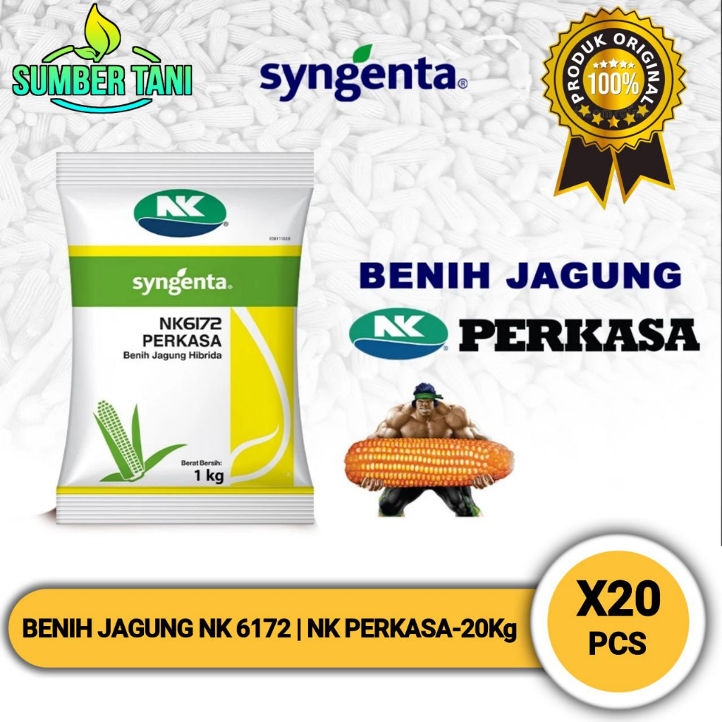 

Benih Jagung NK 6172 | NK PERKASA - 20Kg | 1DUS