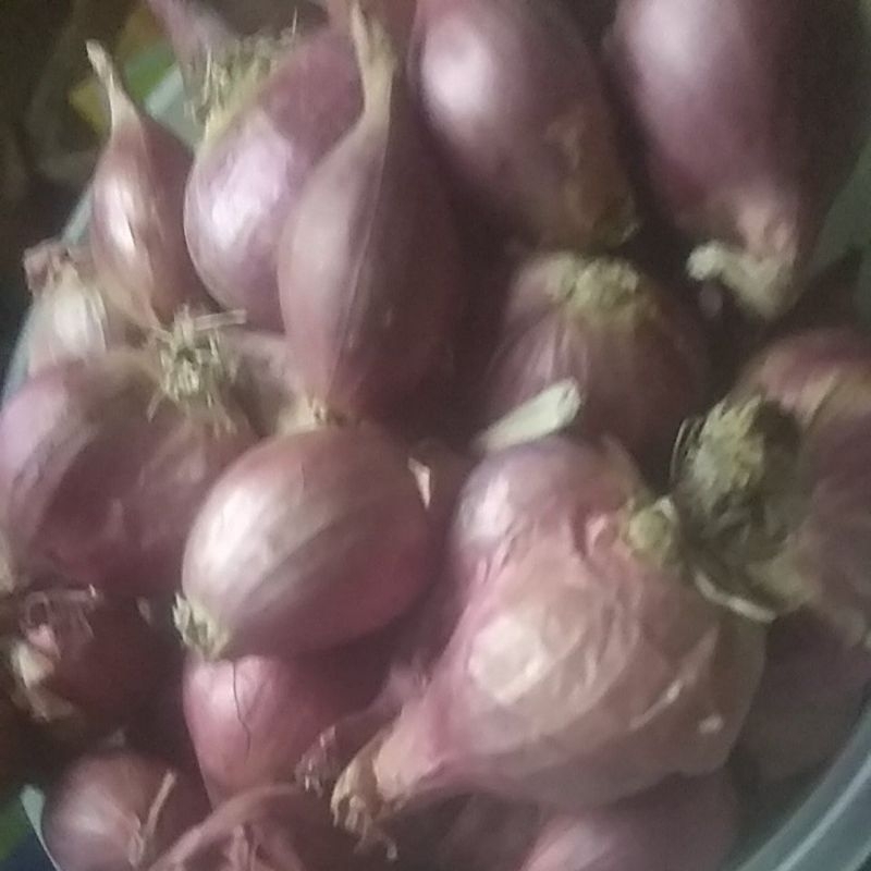 

bawang merah 1kg