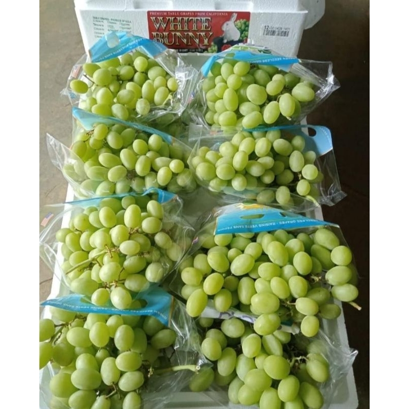 

Anggur Hijau Stella Bella 1kg