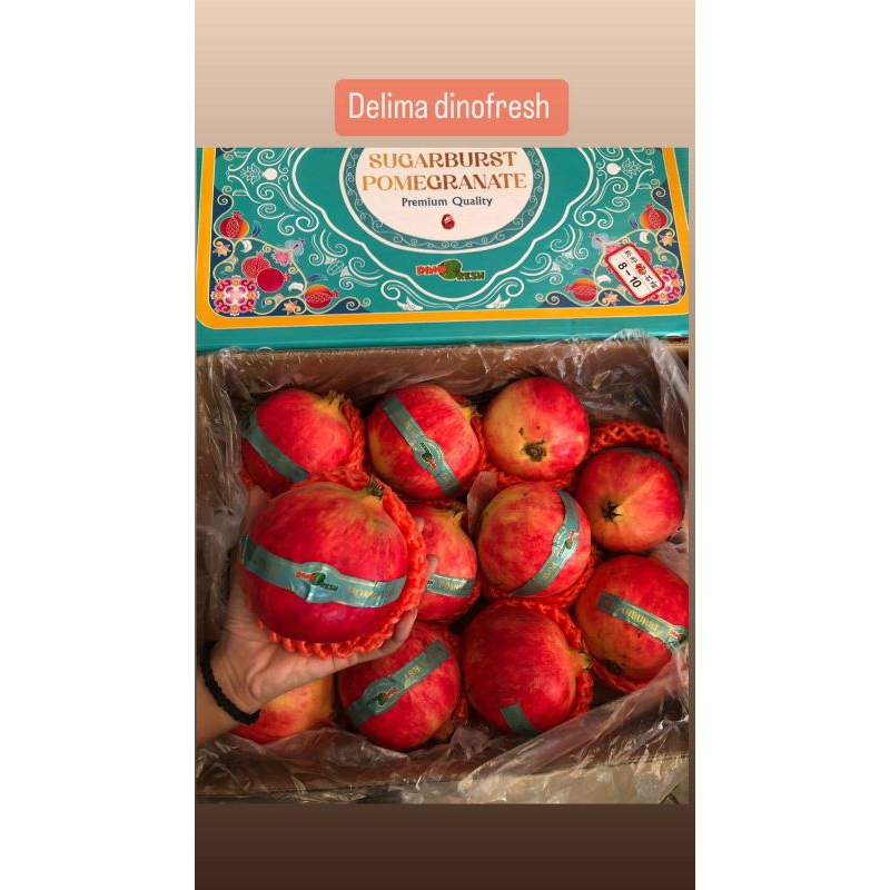 

Delima DinoFresh size 22 / biji