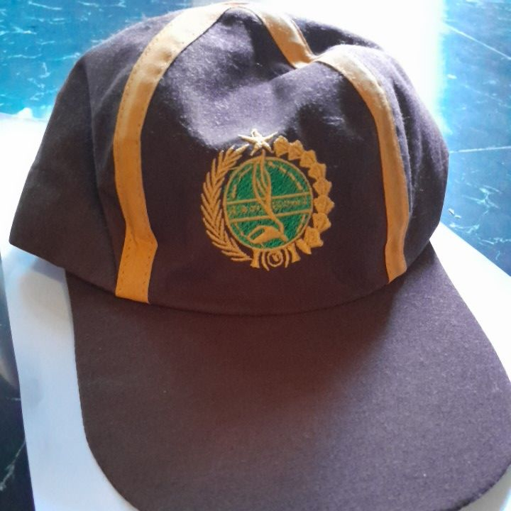 

Topi Siaga