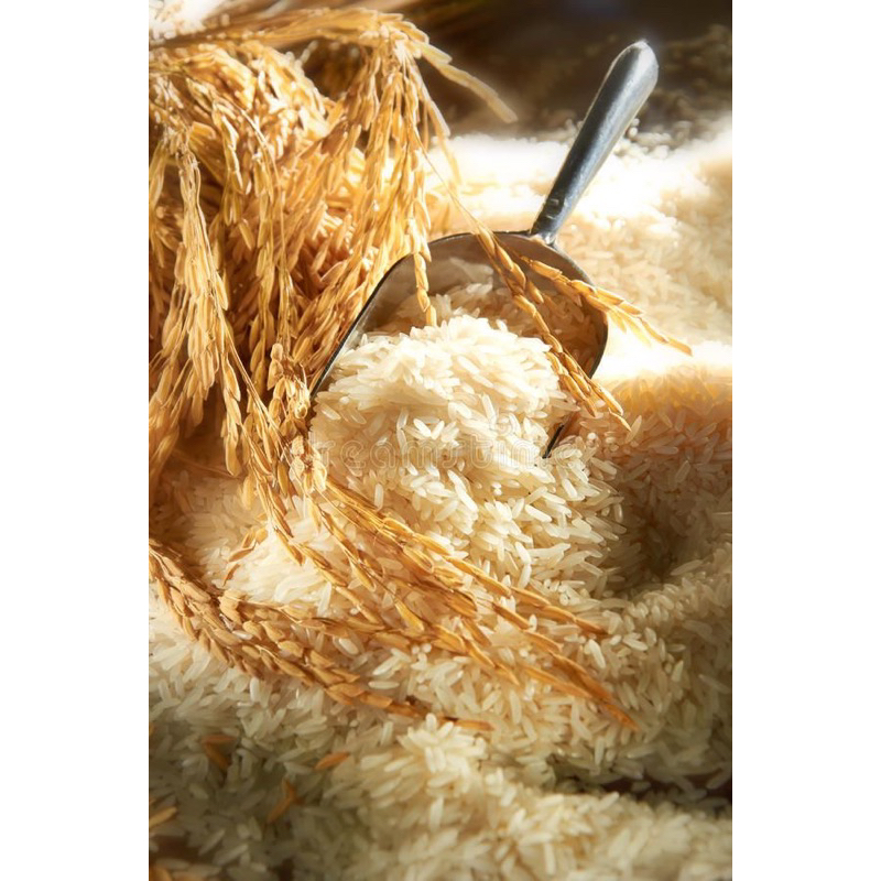 

Beras rendah kalori / Beras Diet Organik Repack