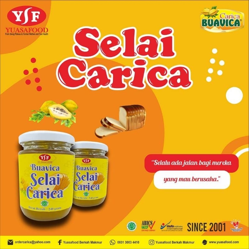 SELAI CARICA KHAS DIENG WONOSOBO