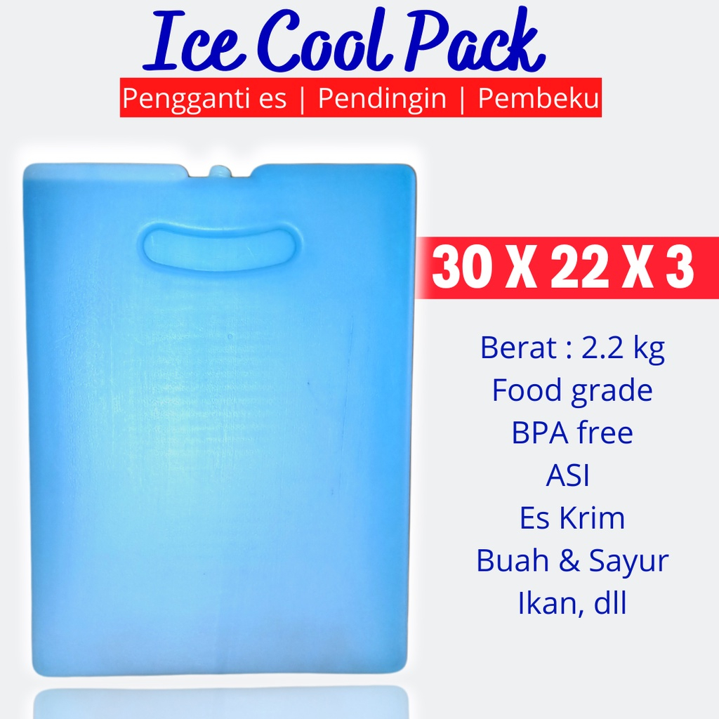 Ice Pack Jumbo Besar 22x30x3cm Botol Kosong Food Grade Kualitas Premium