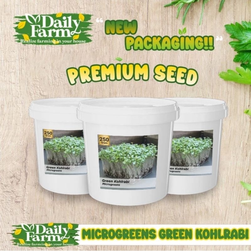 Benih Sayur Microgreen Green Kohlrabi Microgreen ( 250 Gram )