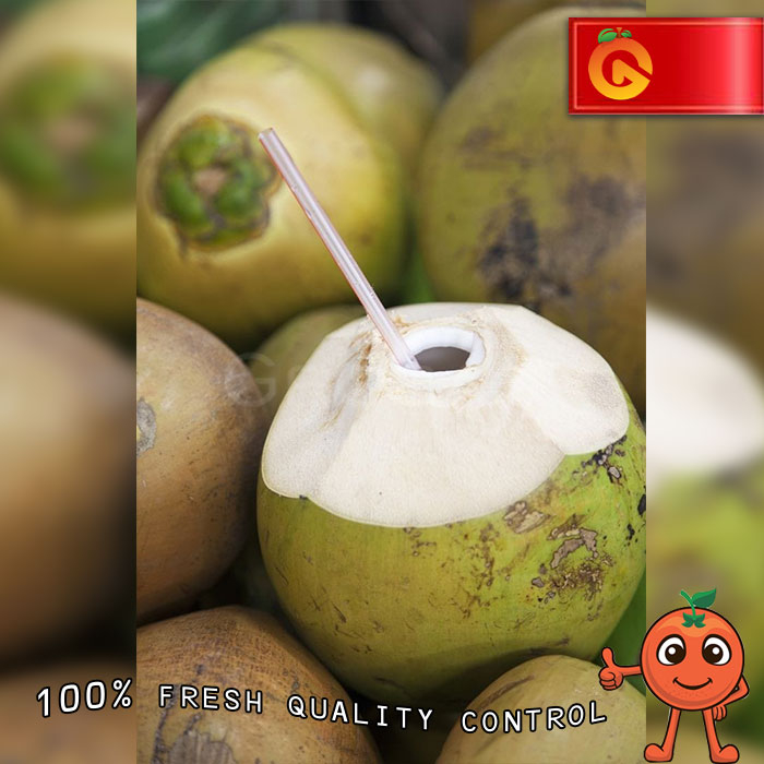 

KELAPA MUDA FRESH