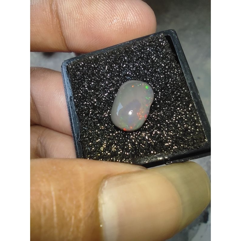 Kalimaya black oval solid BANTEN