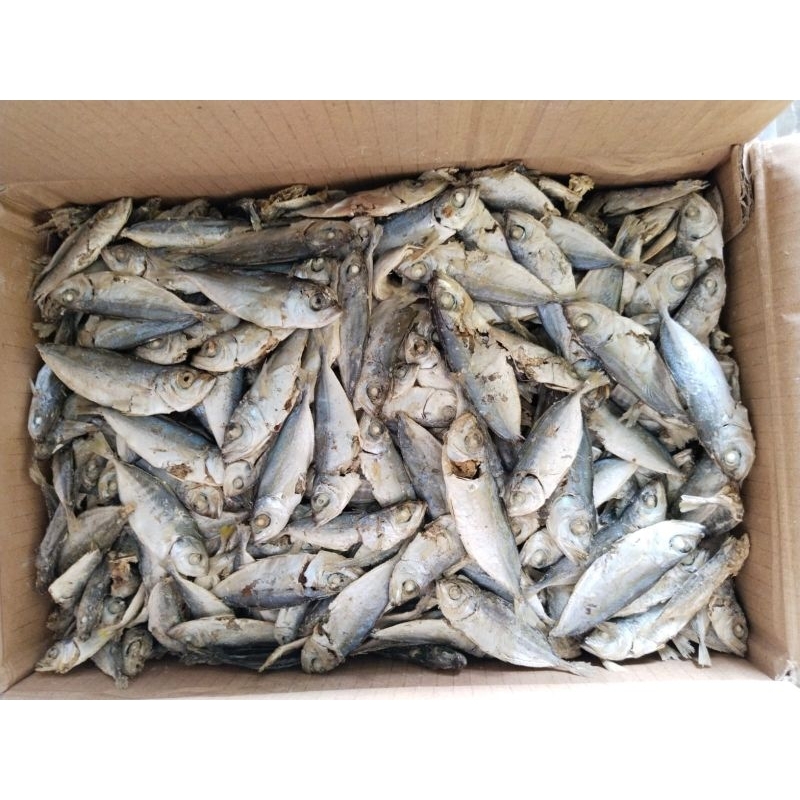 

PAKET USAHA IKAN ASIN SELAR REBUS DARI LAMPUNG