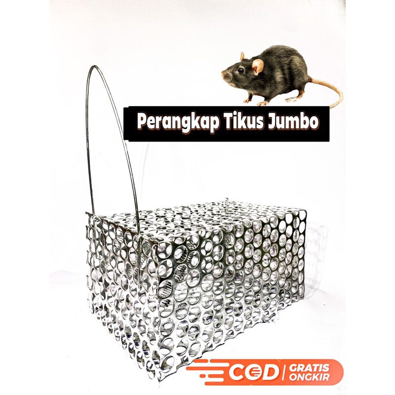 Perangkap Tikus | Jebakan Tikus Jumbo