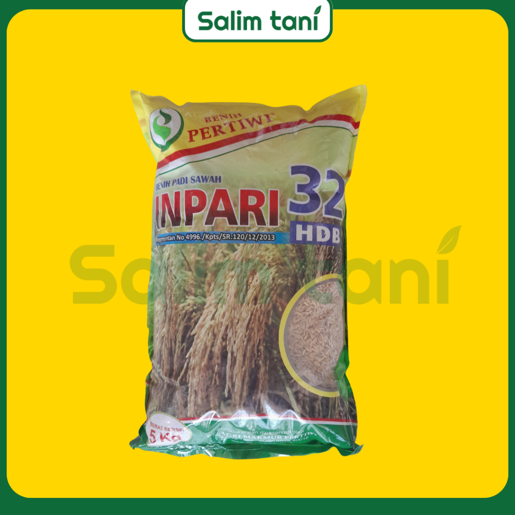 BENIH BIBIT PADI SAWAH INPARI 32 PERTIWI - 5KG