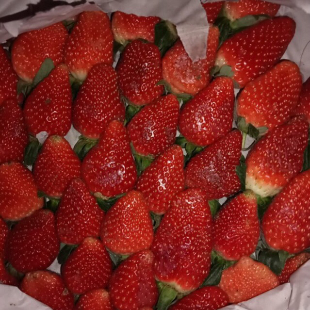 Strawberry Bandung Segar Grade AB surabaya