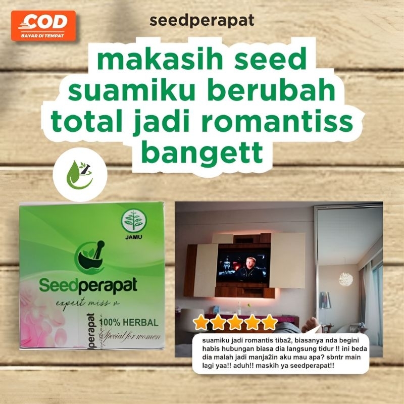 Seed Perapat Manjakani Original Izin Dinkes Jamu Tradisional Kewanitaan