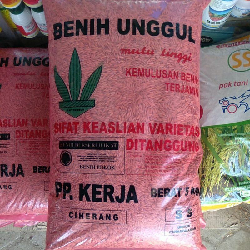 Ciherang 5kg pp kerja boyolali exp 24