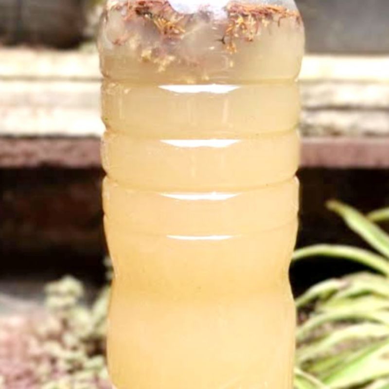 POC PGPR Super Jakaba