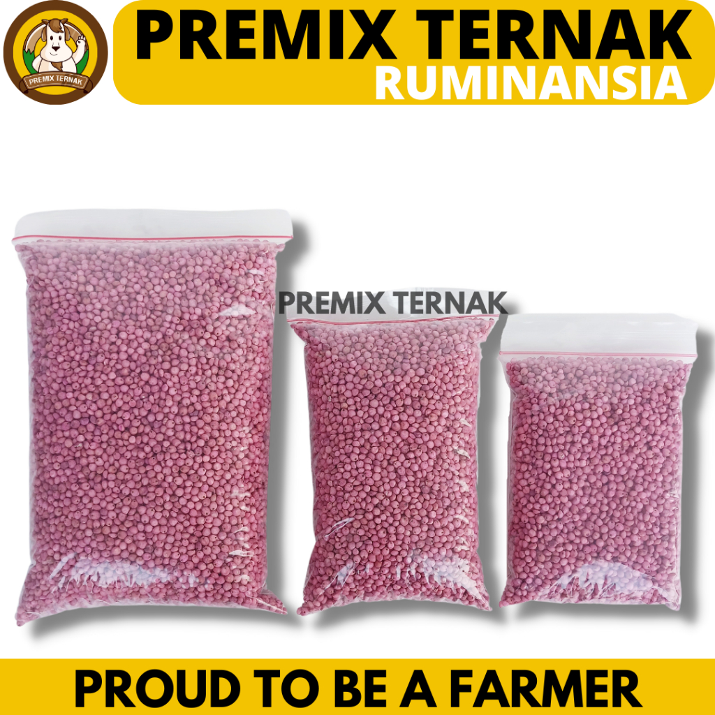 BENIH SORGUM SOPER 9 - Hijauan Pakan Ternak Produktivitas Tinggi