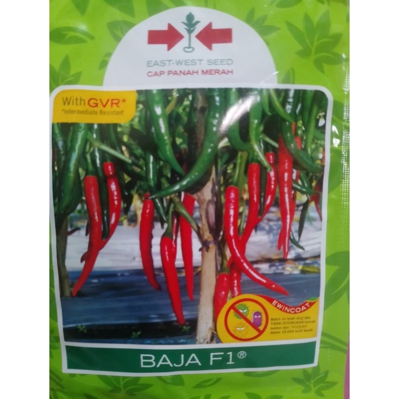 

Cabai Besar BAJA F1 PANAH MERAH