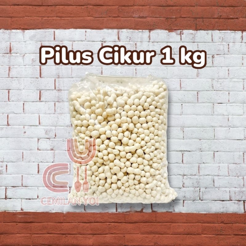 

Pilus Cikur Kencur 1 kg FREE bubble warp