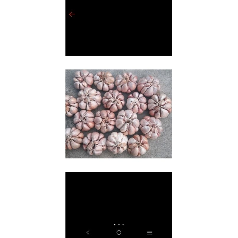 

bawang putih murah 500gr/ bawang putih segar/ bawang putih super