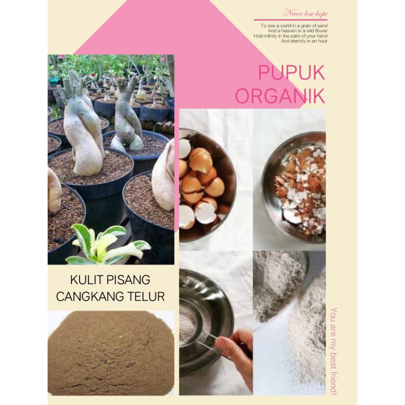 Pupuk Organik Kulit Pisang & Cangkang Telur 1kg