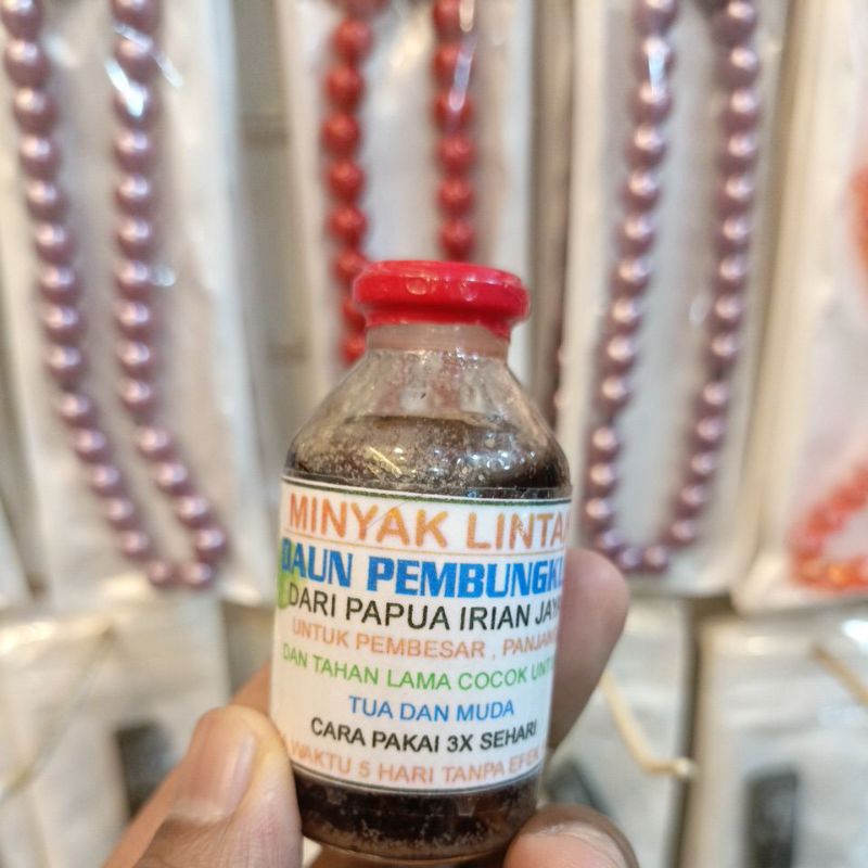 minyak lintah daun pembungkus papua