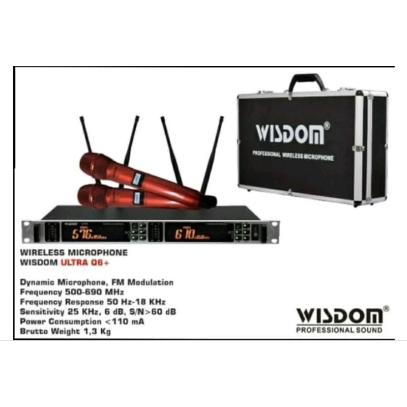 wireless mic wisdom ultra q6+