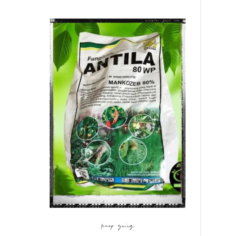(Fungisida)ANTILA-1KG