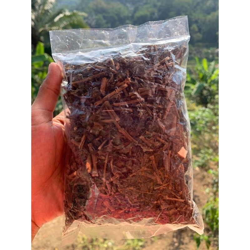 

Daun Binahong Kering Rempah Banyak Khasiatnya 50gr.