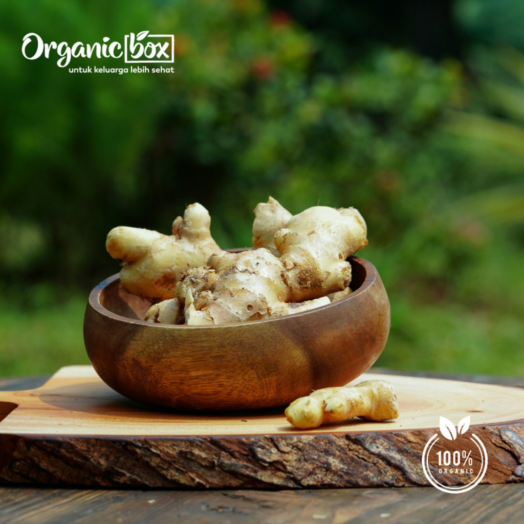 

JAHE GAJAH ORGANIK 250GR