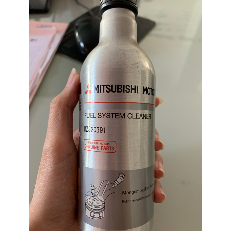 Fuel system cleaner