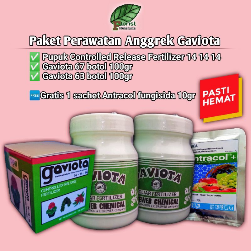 Paket Perawatan Anggrek Gaviota Premium + gratis Antracol fungisida