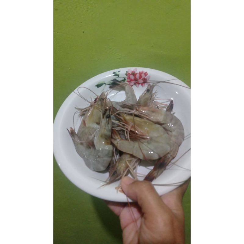 

udang segar beku