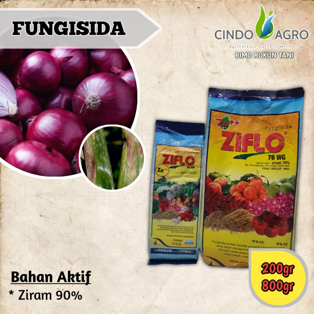 ZIFLO 76 WG - 800gram