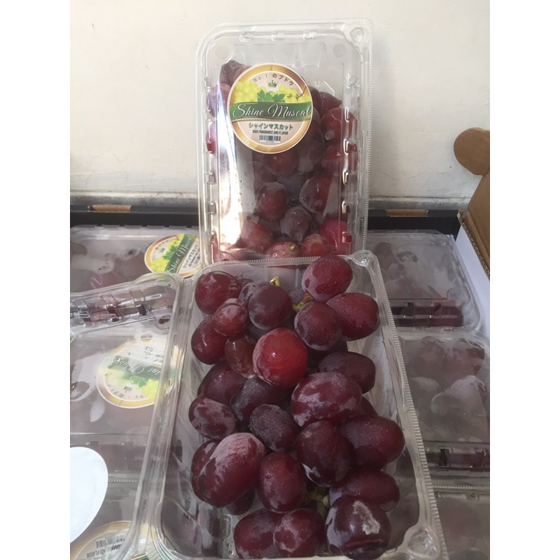 

Anggur Shine Muscat Red 1 Dus (10 Pack) Fresh Import