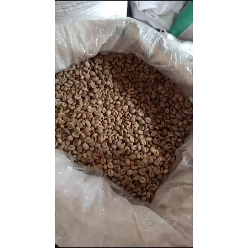 

Biji Kopi Robusta TIRTOYUDO (Oce) per 1kg, CANEPHORA COFFEE