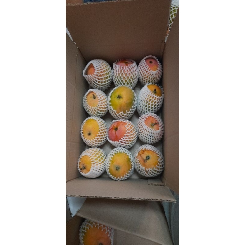 

Gedong Gincu Indramayu