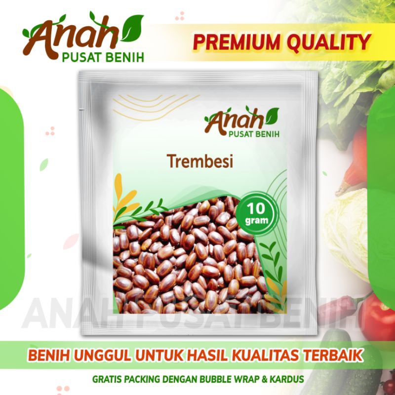 Benih trembesi 10 gram / bibit trembesi / biji trembesi