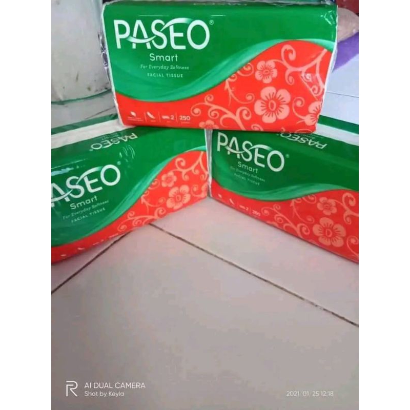 Paseo 250 sheet