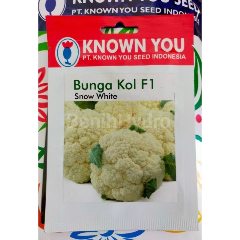 Benih Bunga Kol F1 Snow White
